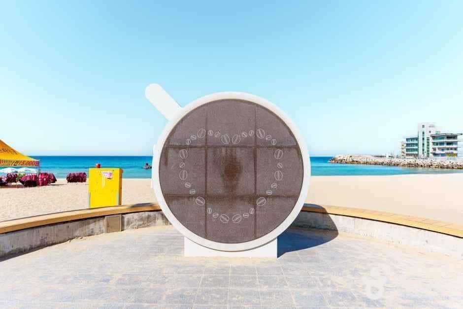 안목해변 — 반려동물 동반 관광지