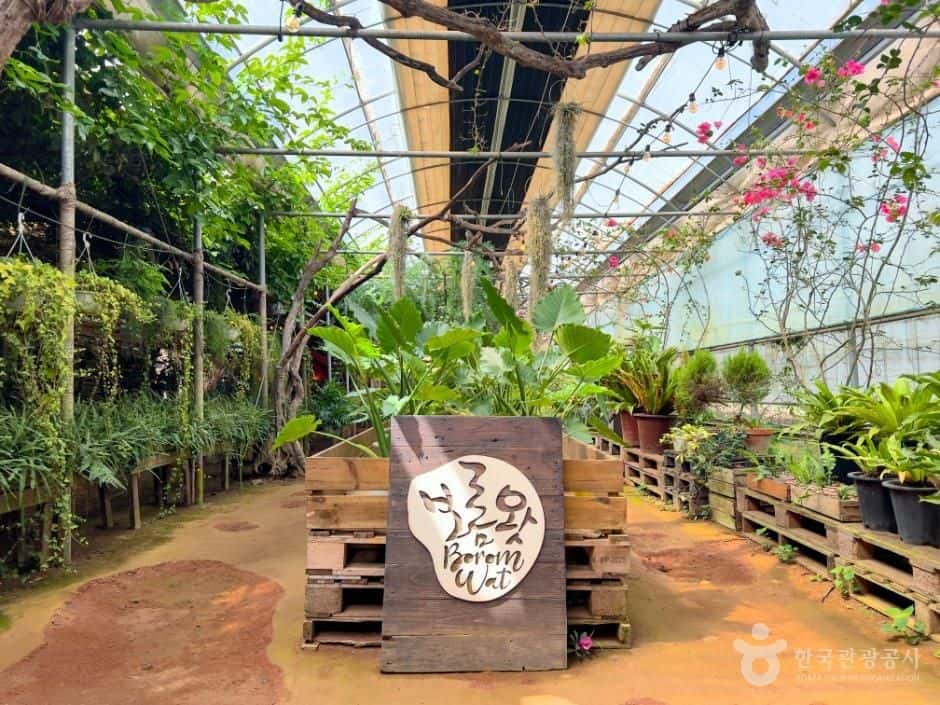 보롬왓 — 반려동물 동반 관광지