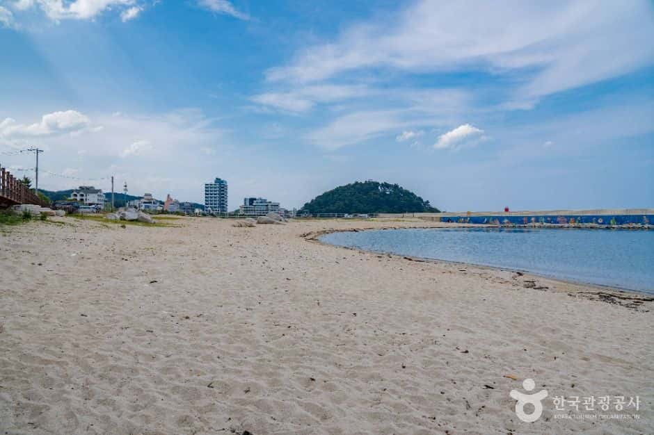 광진해수욕장 — 반려동물 동반 관광지