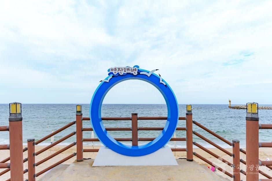 영진해변 — 반려동물 동반 관광지
