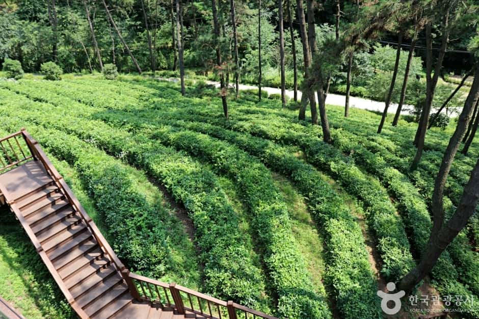 익산산림조합산림문화체험관 — 반려동물 동반 관광지
