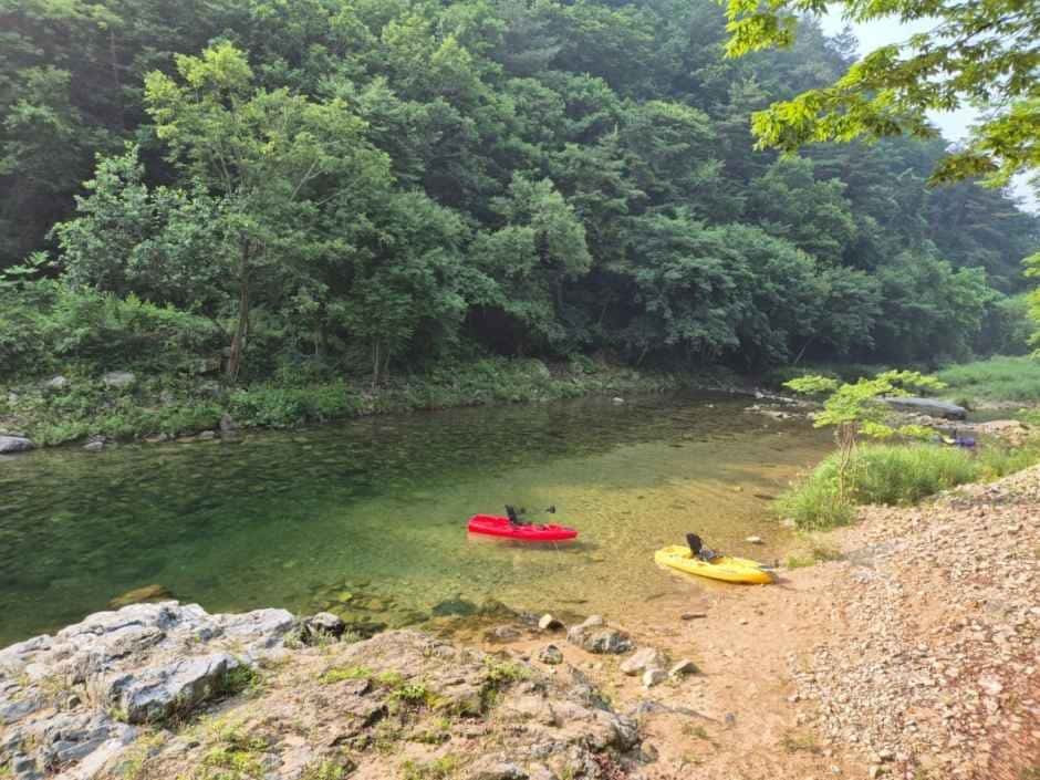 금방아 민박캠핑장 — 반려동물 동반 레포츠
