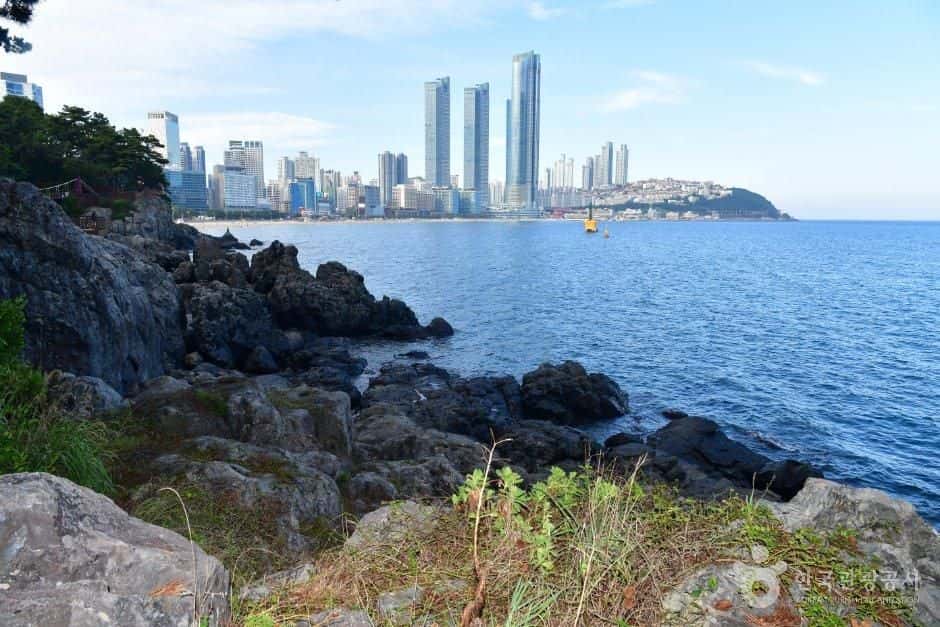 해운대 동백섬 — 반려동물 동반 관광지