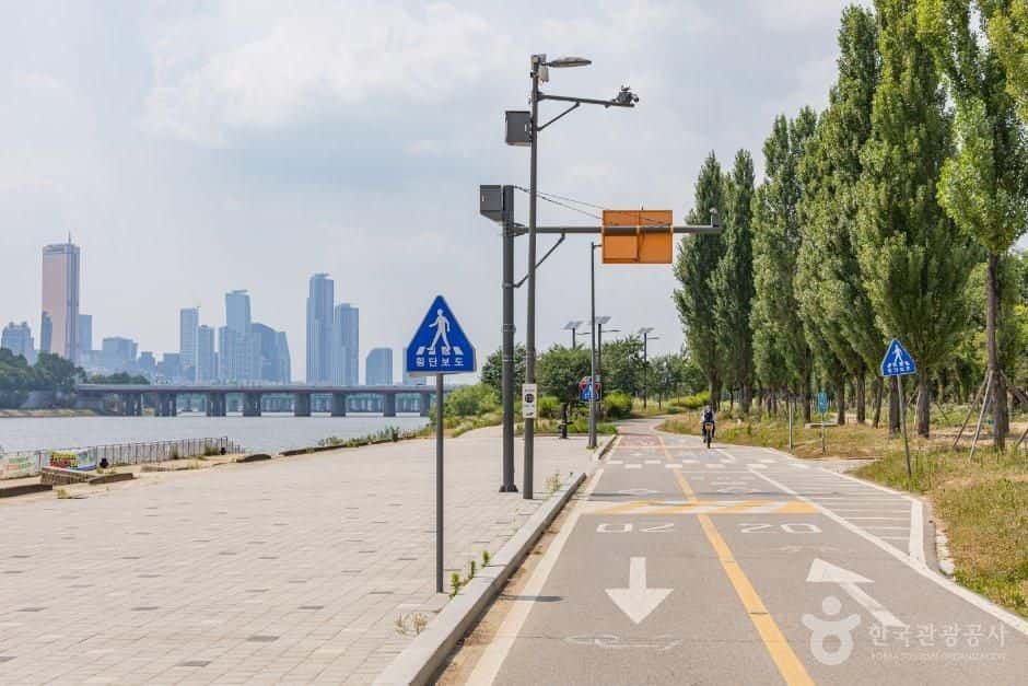 이촌한강공원 — 반려동물 동반 관광지