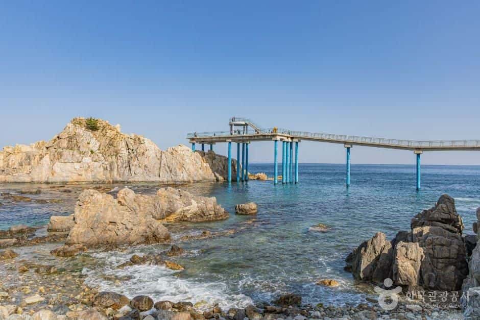 백섬해상전망대 — 반려동물 동반 관광지