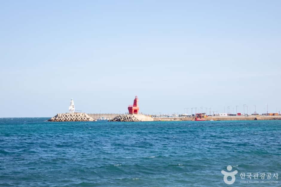 이호테우해변 — 반려동물 동반 관광지