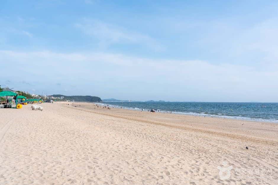 대천해수욕장 — 반려동물 동반 관광지