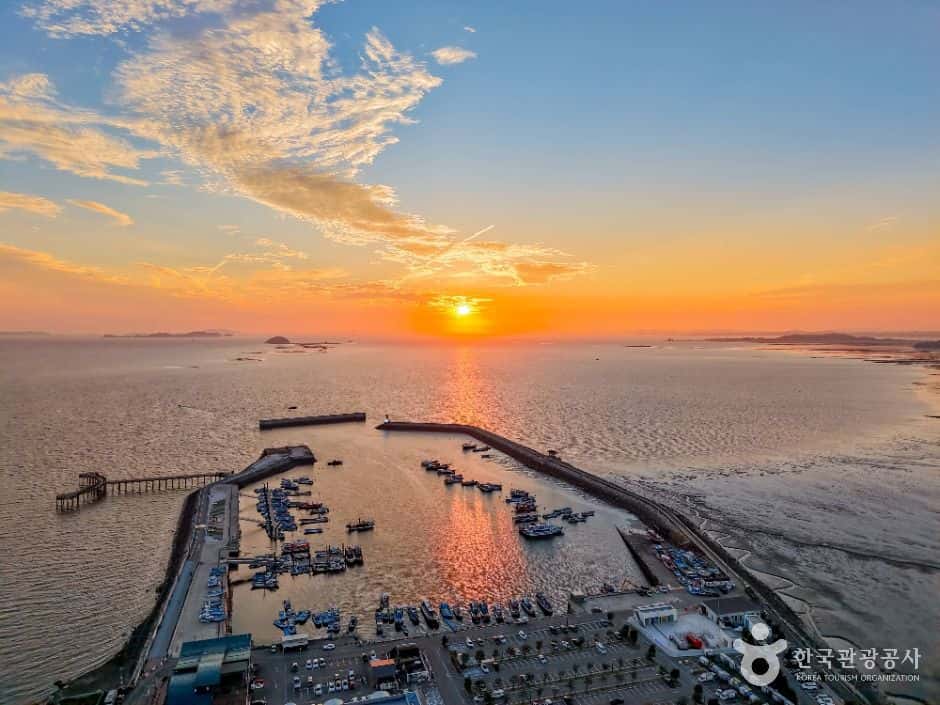 궁평항 — 반려동물 동반 관광지