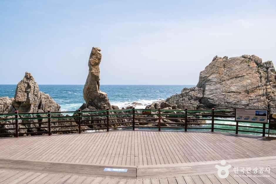 초곡 용굴촛대바위길 — 반려동물 동반 레포츠
