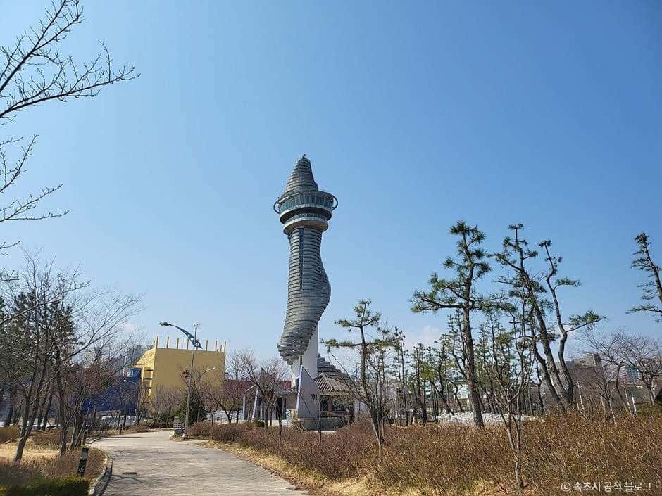 속초 엑스포타워 — 반려동물 동반 관광지