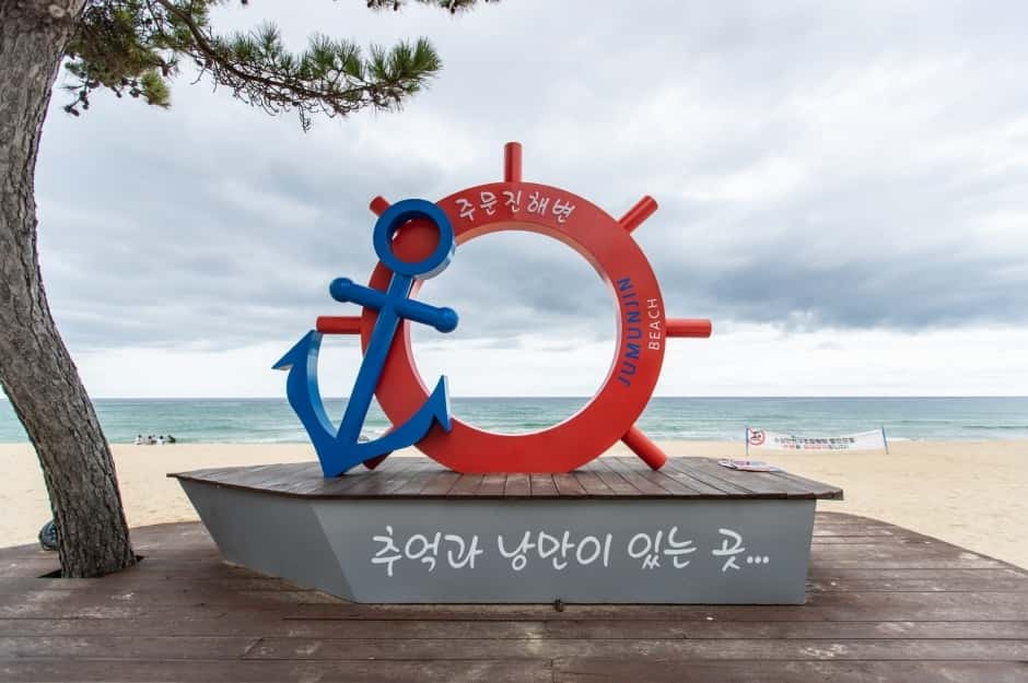 주문진해변 — 반려동물 동반 관광지
