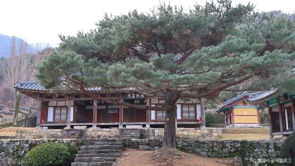 예림서원 — 반려동물 동반 관광지