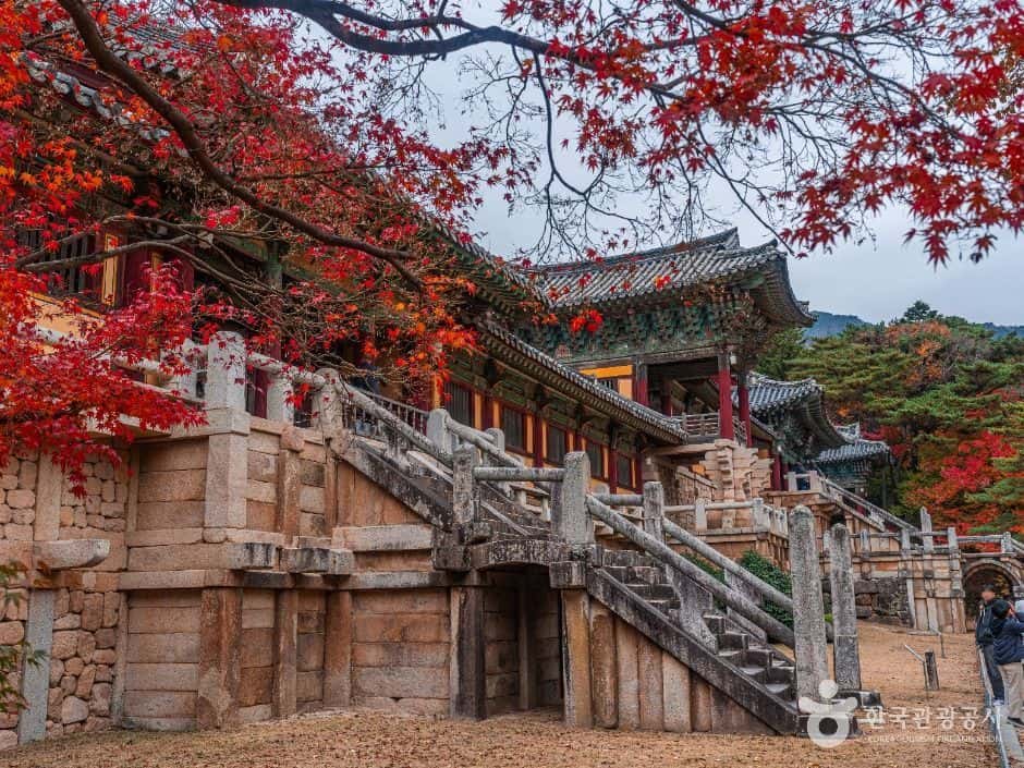 경주 불국사 [유네스코 세계유산] — 반려동물 동반 관광지