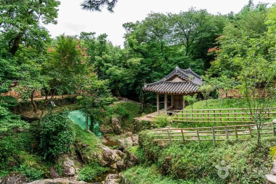 담양 소쇄원 — 반려동물 동반 관광지