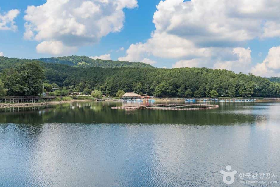 고모호수공원 — 반려동물 동반 관광지