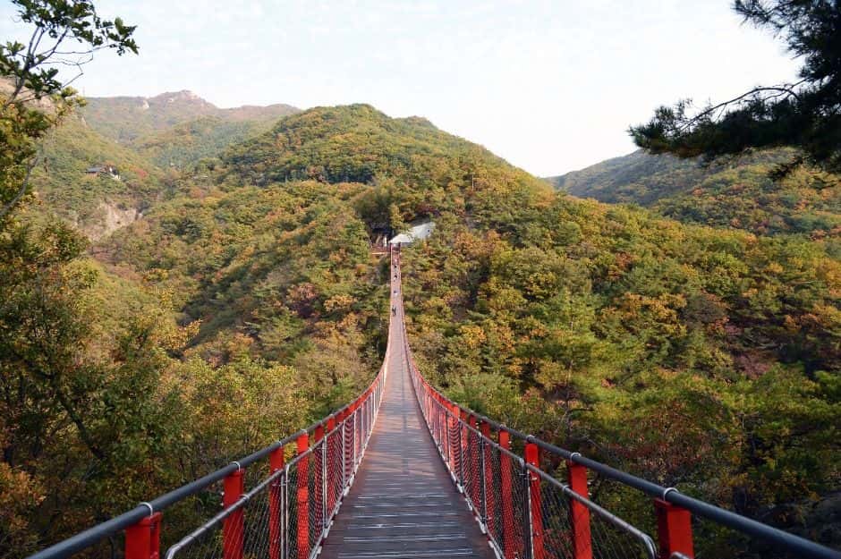 감악산 출렁다리 — 반려동물 동반 관광지