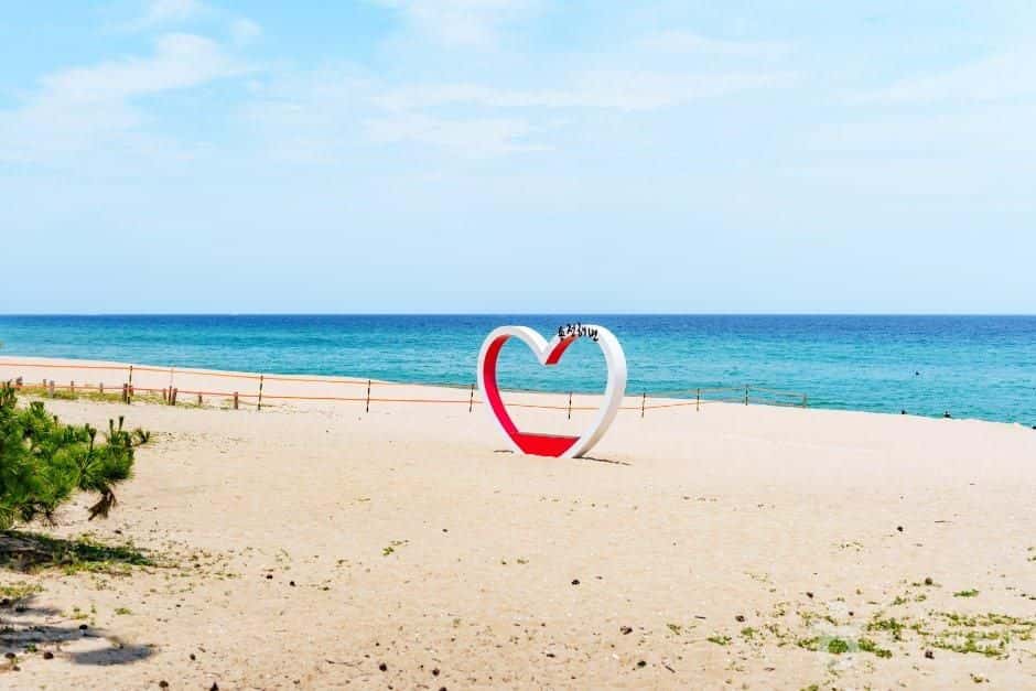 송정해변 — 반려동물 동반 관광지