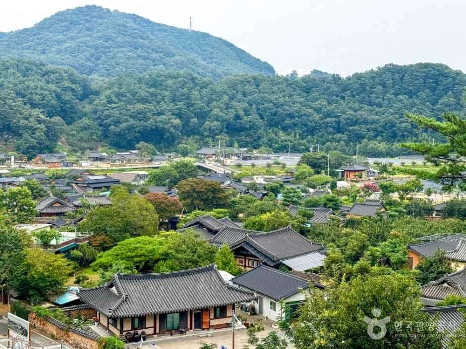 남사예담촌 — 반려동물 동반 관광지