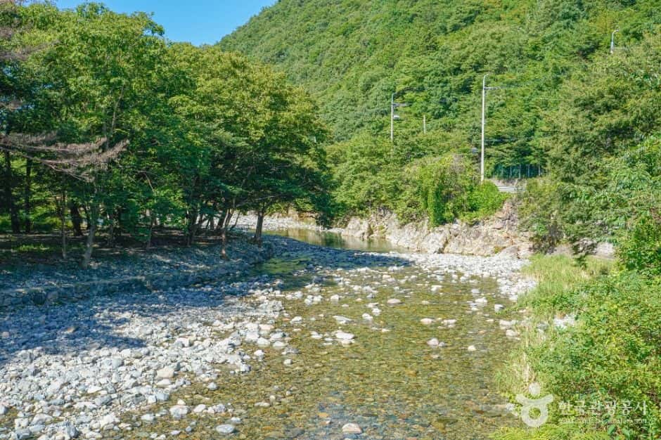 배내골 — 반려동물 동반 관광지