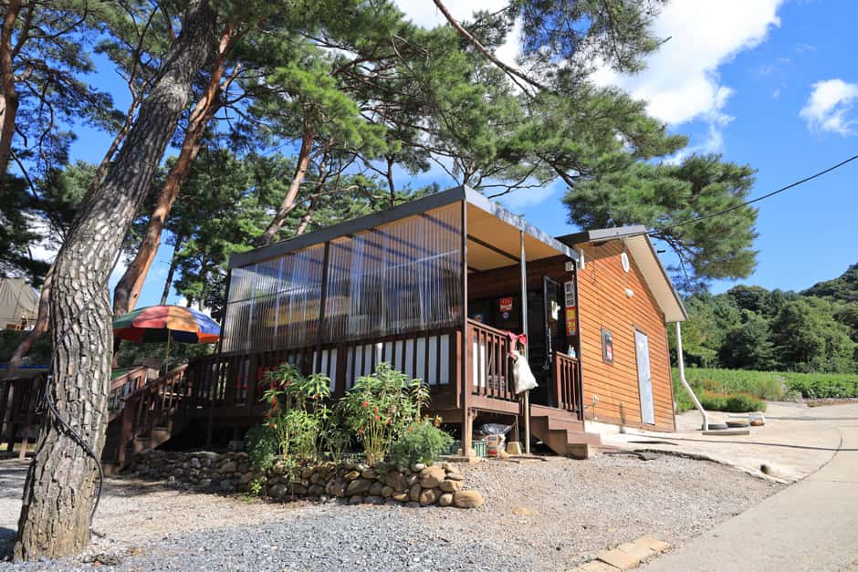영월한반도캠핑장 — 반려동물 동반 레포츠