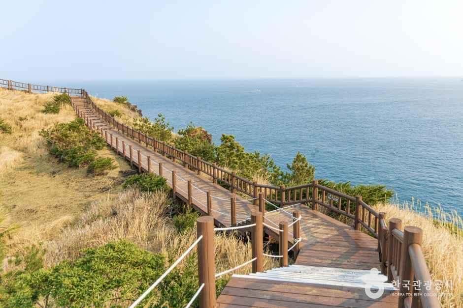 송악산둘레길 — 반려동물 동반 관광지