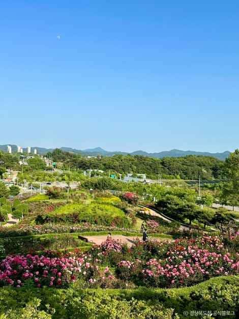 함창명주테마파크공원 — 반려동물 동반 관광지