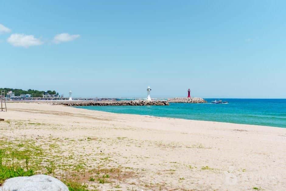 사천해변(사천해수욕장) — 반려동물 동반 관광지