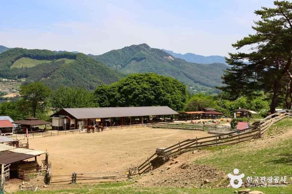 해피초원목장 — 반려동물 동반 관광지