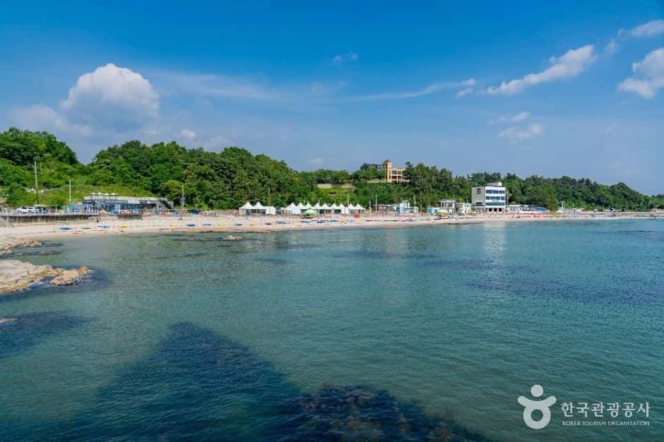 아야진해변 — 반려동물 동반 관광지