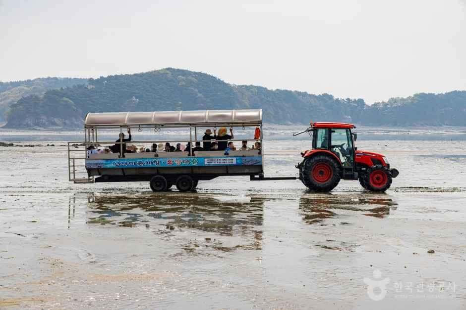 선재도(선재도 어촌체험마을) — 반려동물 동반 관광지