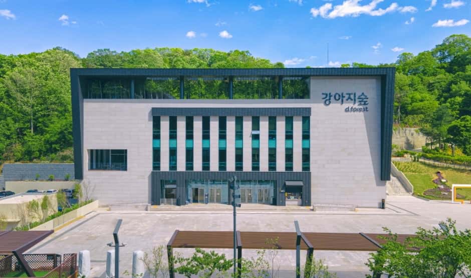 강아지숲 — 반려동물 동반 관광지
