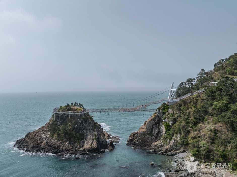 부산 암남공원 — 반려동물 동반 관광지