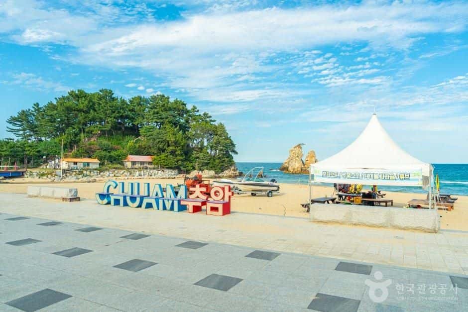 추암해변 — 반려동물 동반 관광지