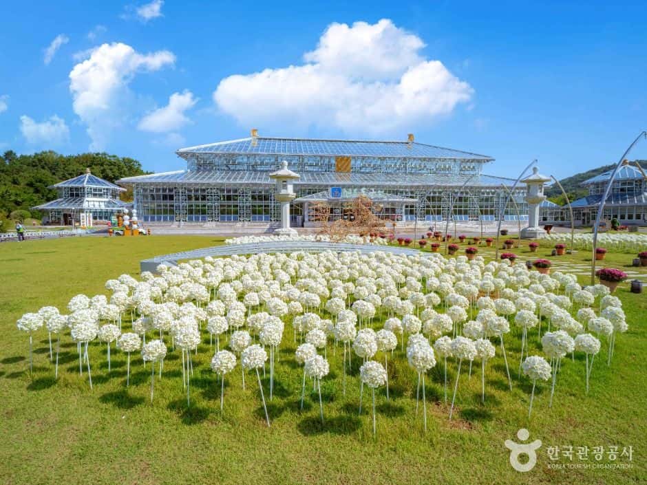 경주 보문관광단지 — 반려동물 동반 관광지