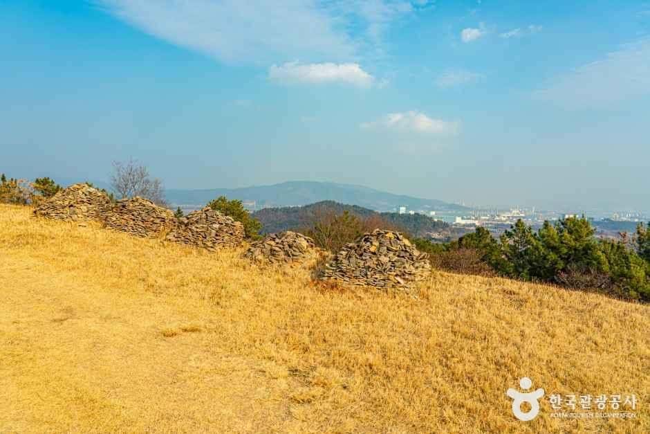 순천 검단산성 — 반려동물 동반 관광지