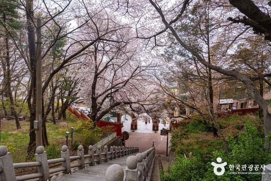 자유공원(인천) — 반려동물 동반 관광지