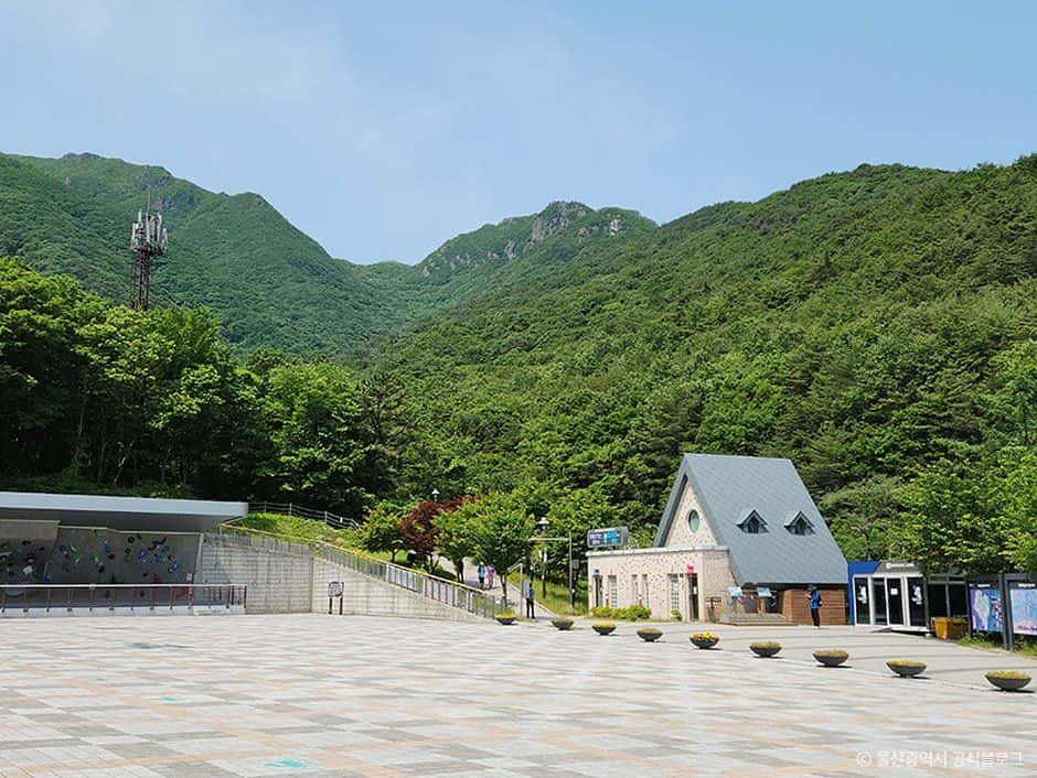 영남 알프스 — 반려동물 동반 관광지