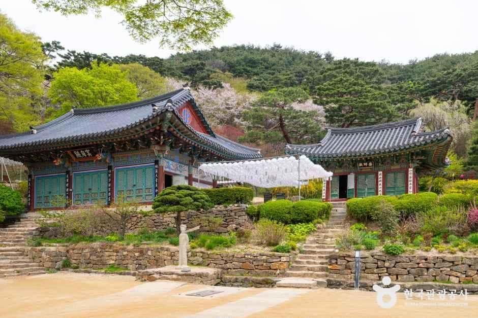 강화 전등사 — 반려동물 동반 관광지