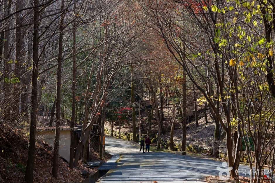만인산 자연휴양림 — 반려동물 동반 관광지