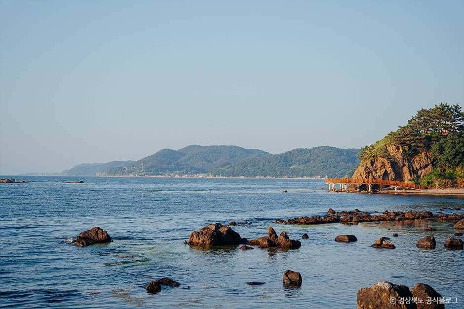 호미반도 해안둘레길 — 반려동물 동반 레포츠