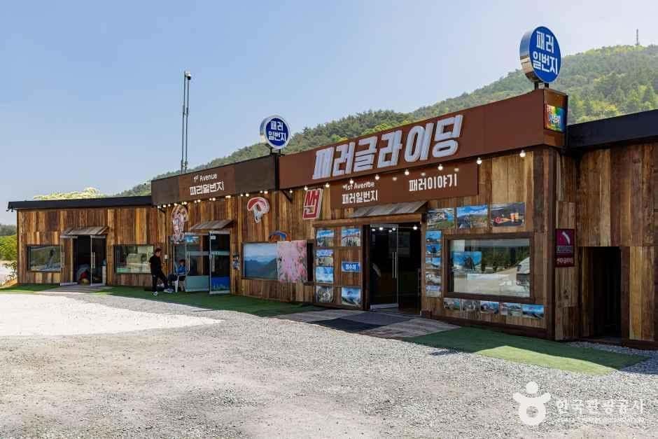단양 패러일번지 — 반려동물 동반 레포츠
