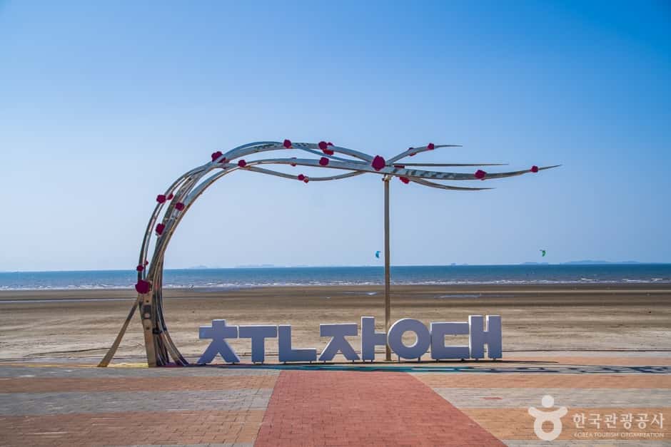 춘장대해수욕장 — 반려동물 동반 관광지