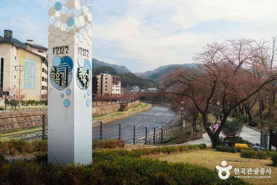 수안보온천 관광특구 — 반려동물 동반 관광지
