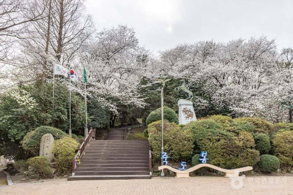 죽도봉공원 — 반려동물 동반 관광지