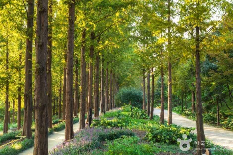 월드컵공원 — 반려동물 동반 관광지