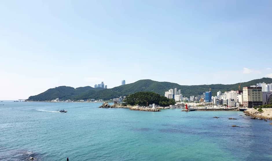 카페윤 — 반려동물 동반 음식점