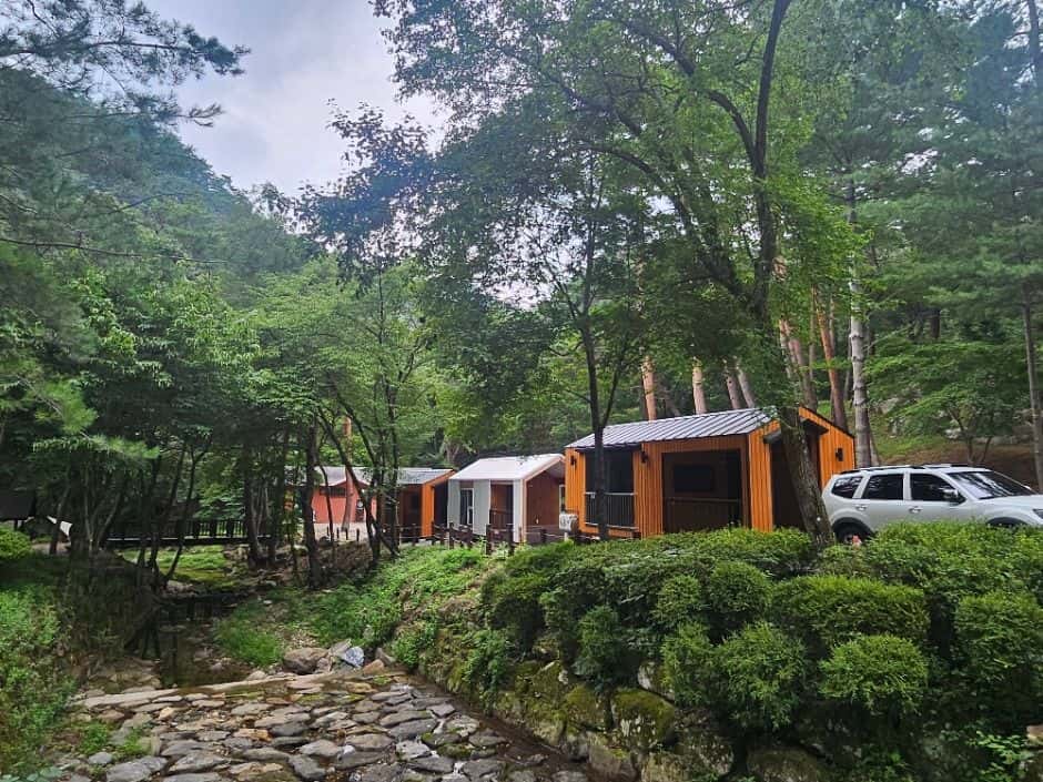 국립검마산자연휴양림 — 반려동물 동반 관광지