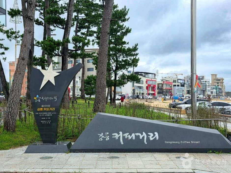 강릉커피거리 — 반려동물 동반 관광지