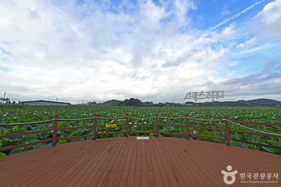 나주 우습제 — 반려동물 동반 관광지