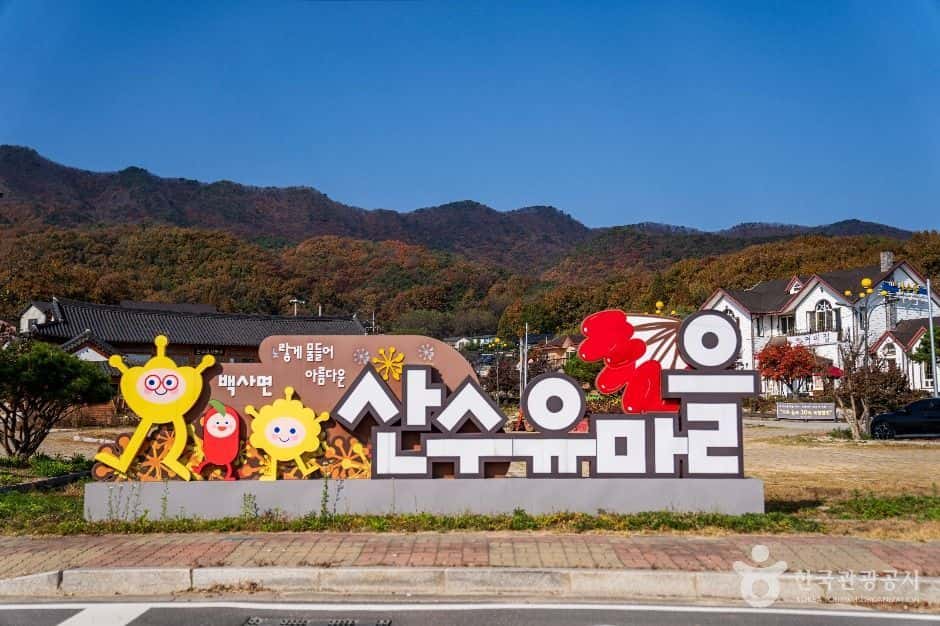 이천 산수유마을 — 반려동물 동반 관광지